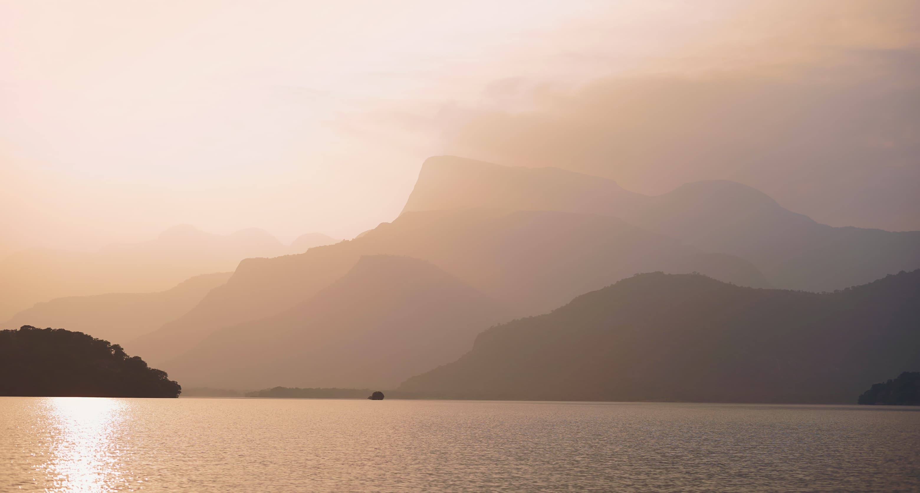 A featured image for this section