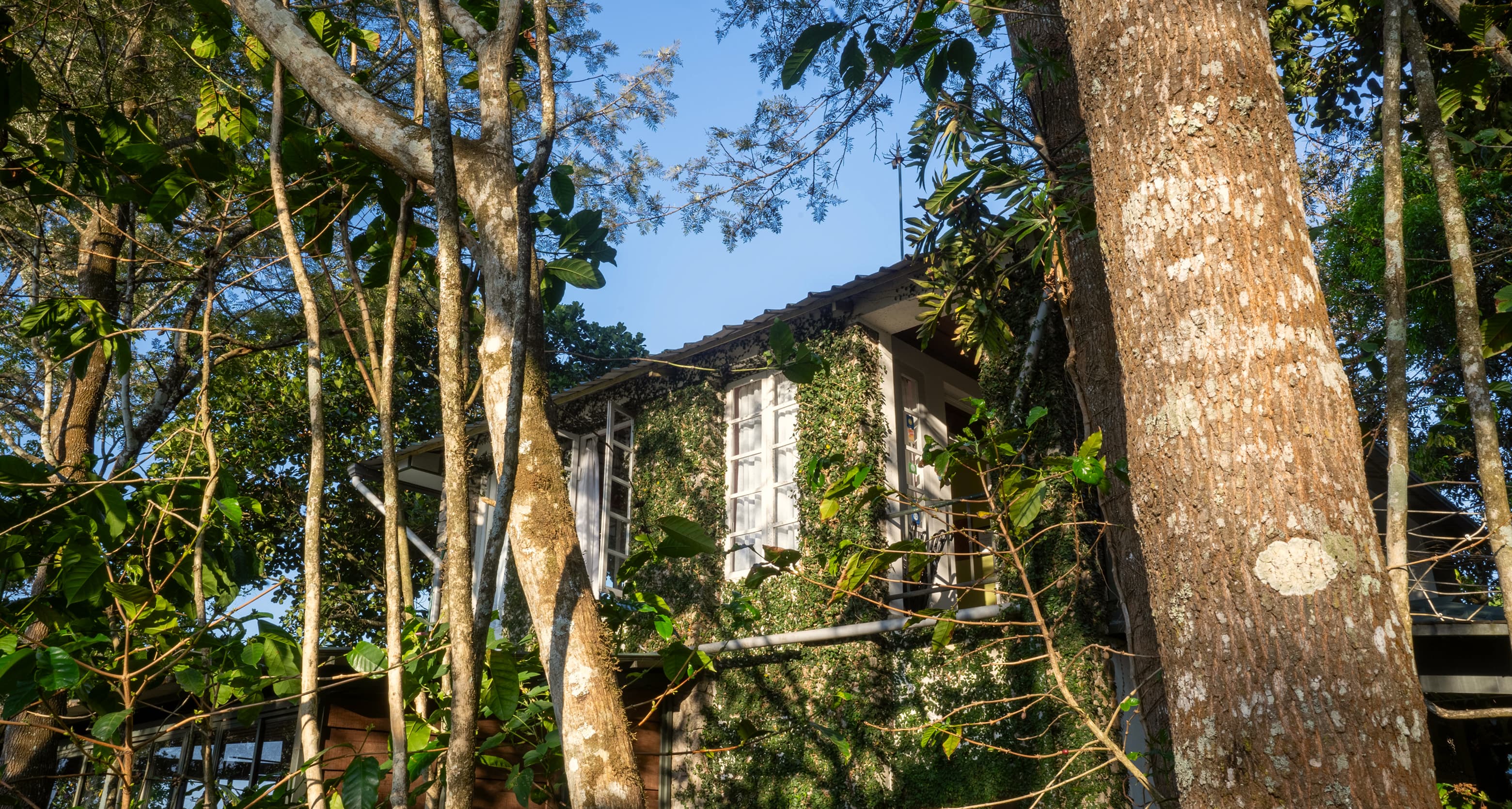 A featured image for this section