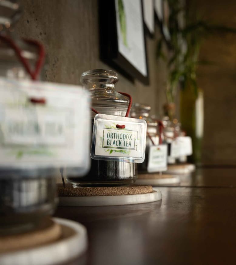 A featured image for this section