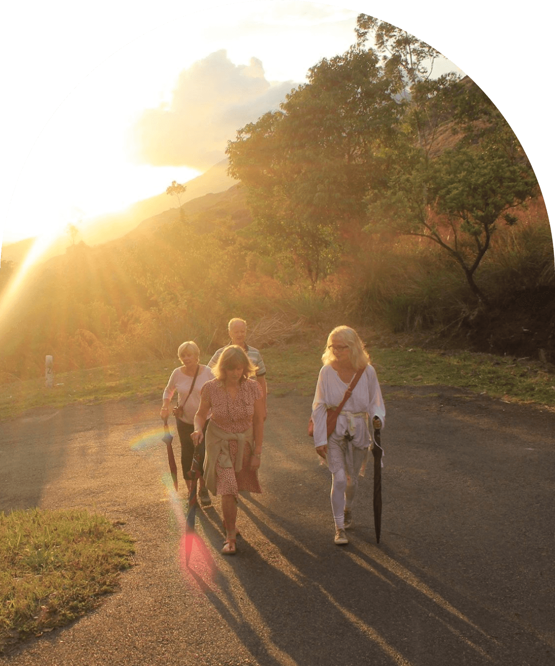 A featured image for this section