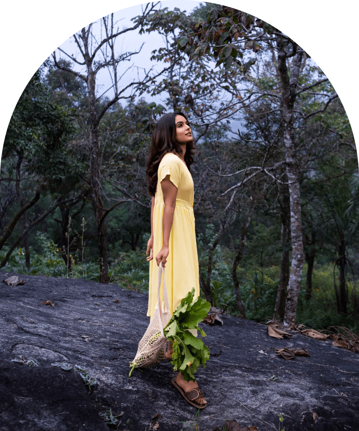 A featured image for this section