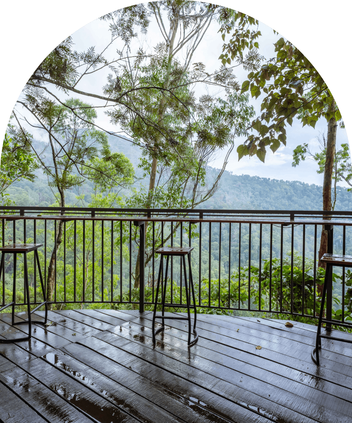 A featured image for this section