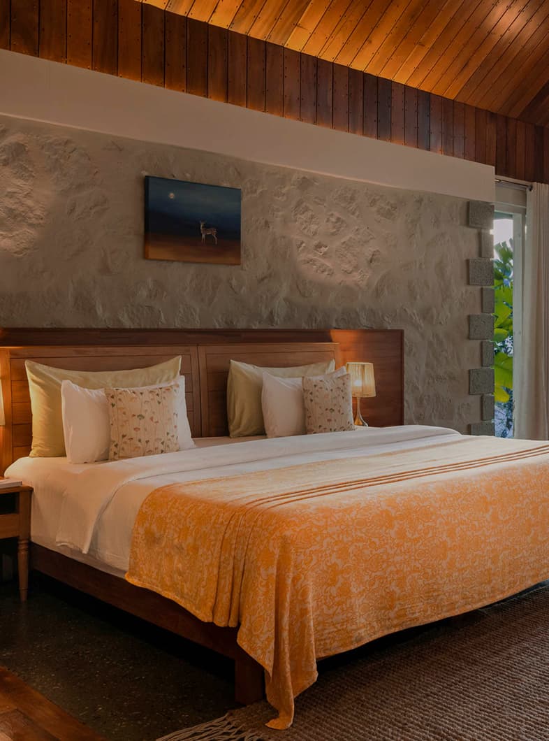 A featured image for this section