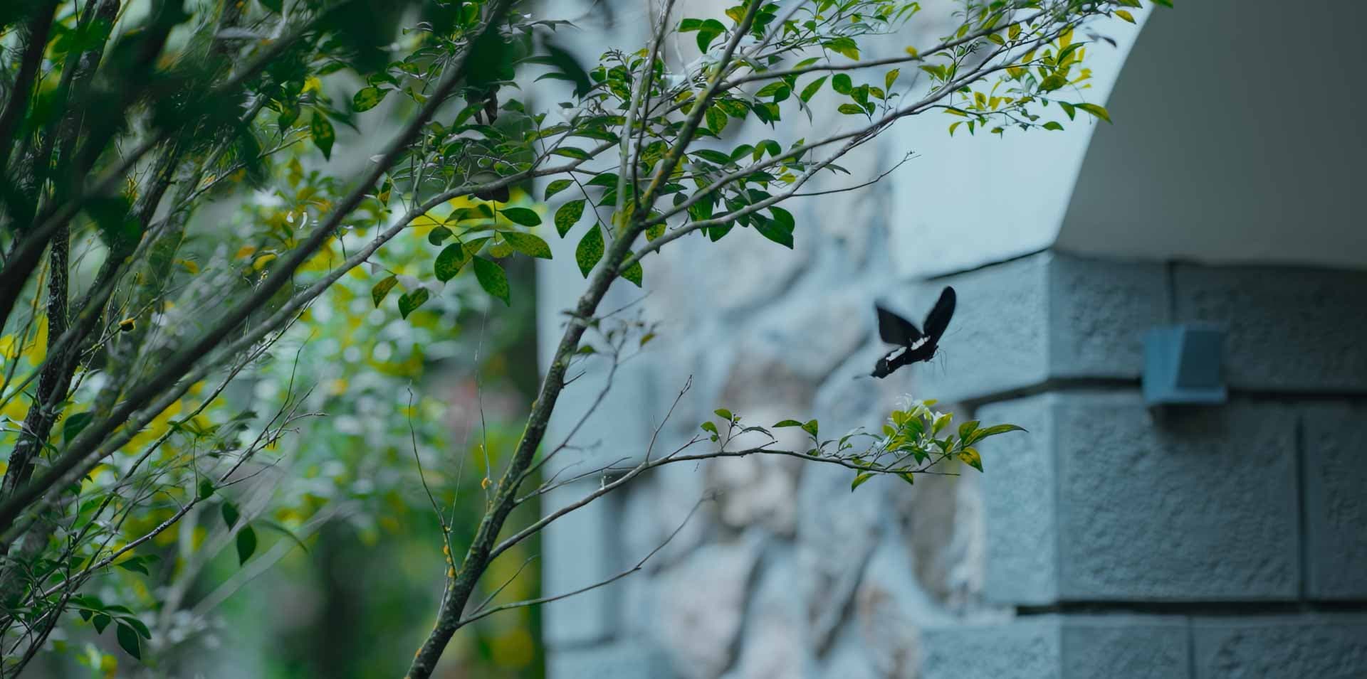 A featured image for this section