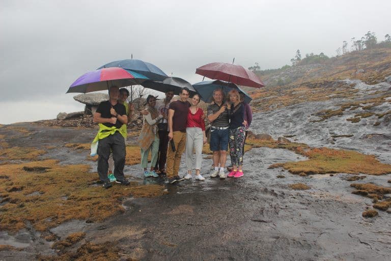 A featured image for this section