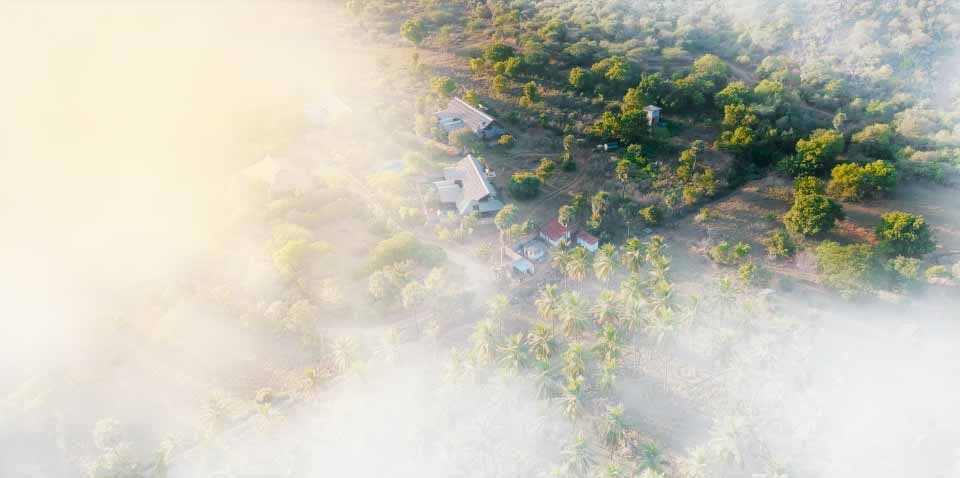 A featured image for this section