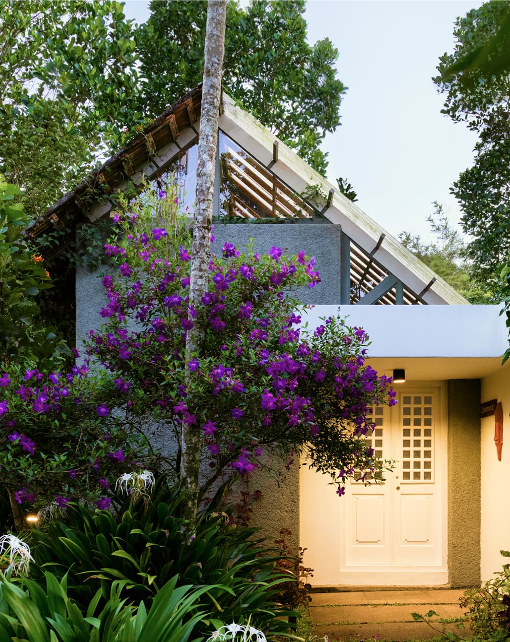 A featured image for this section