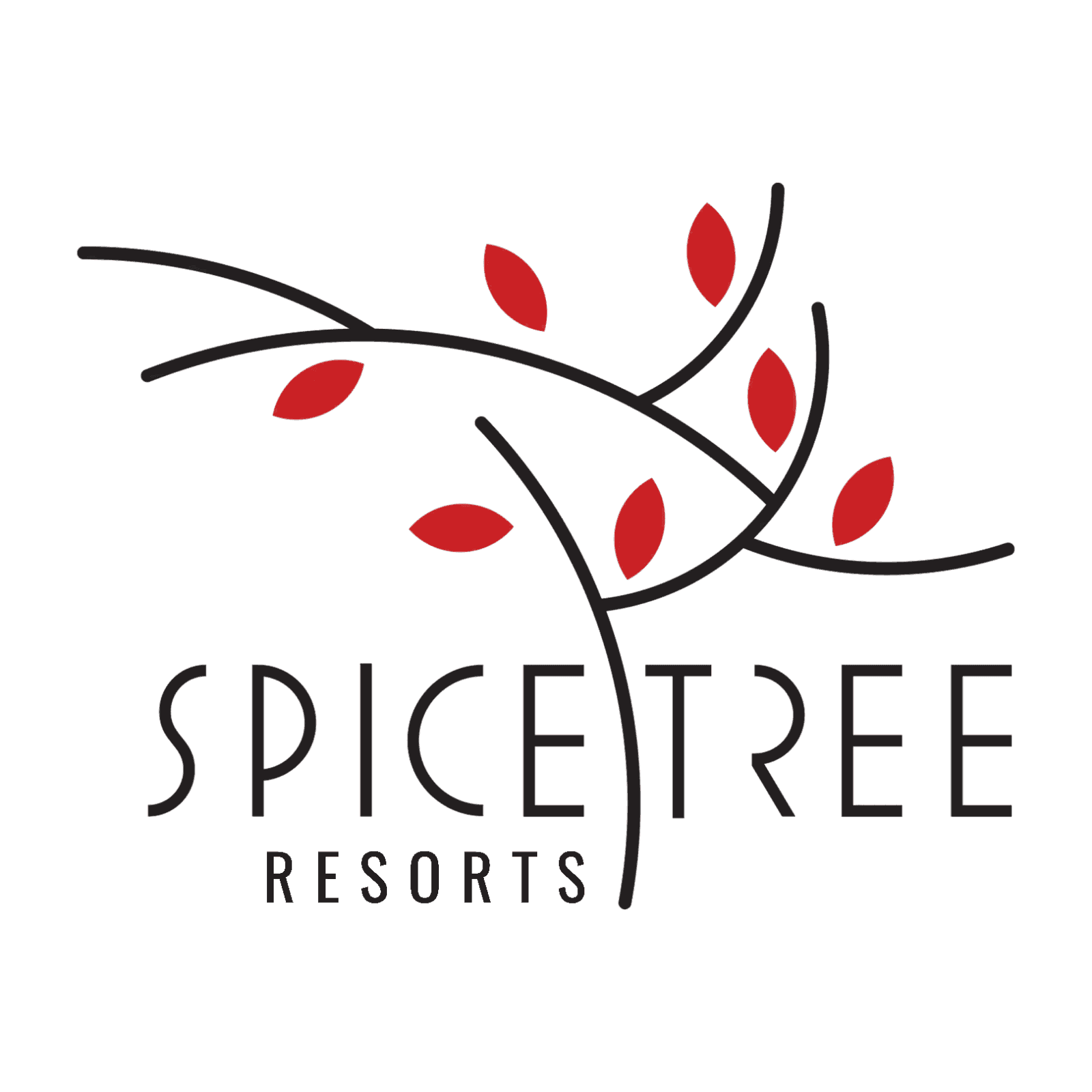SpiceTree
