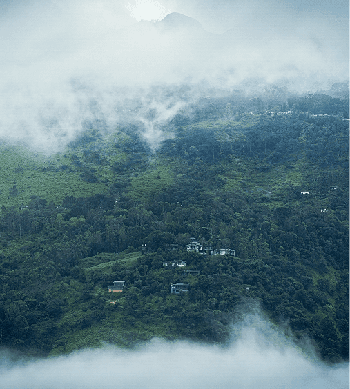 A featured image for this section