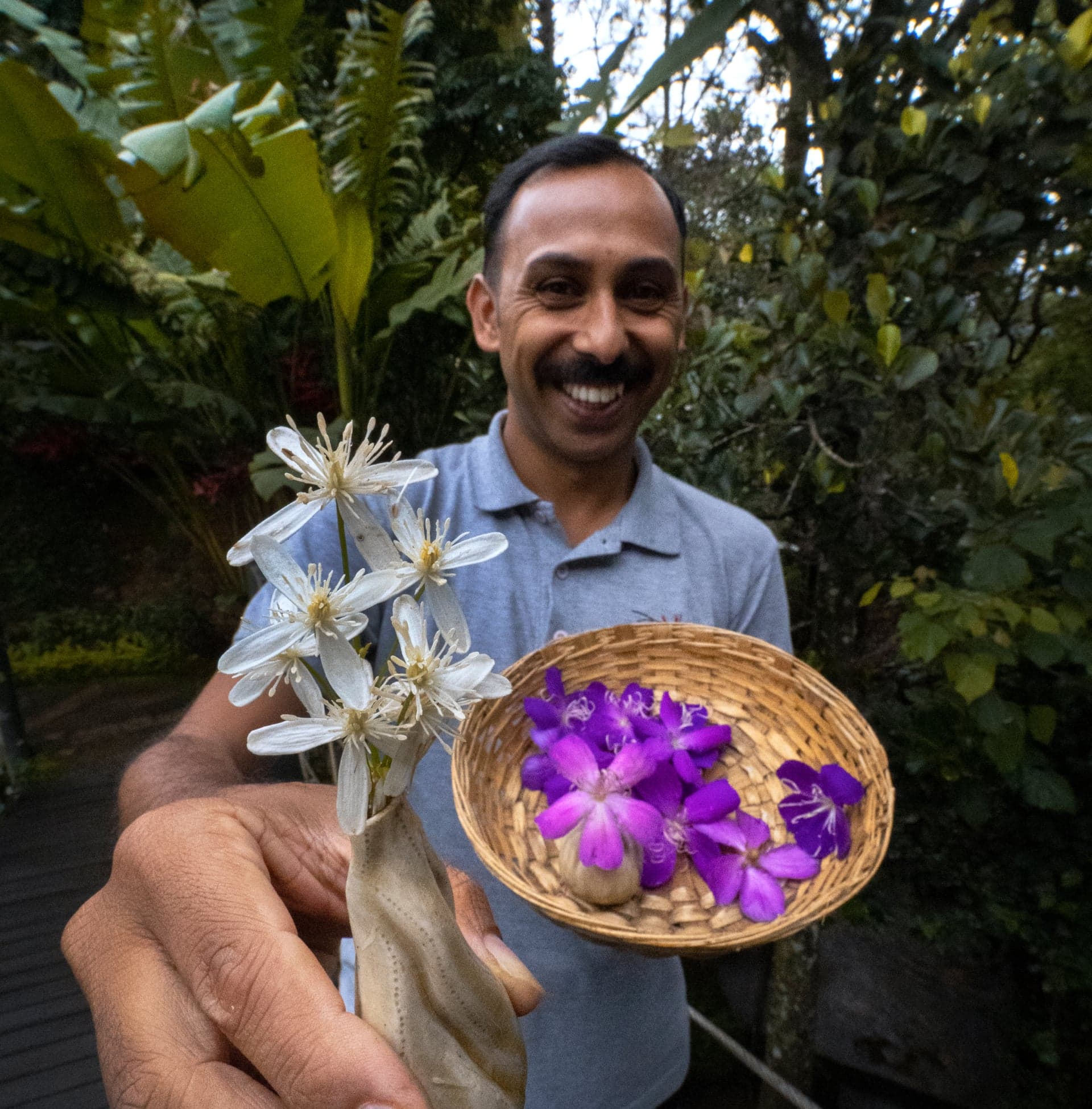 A featured image for this section