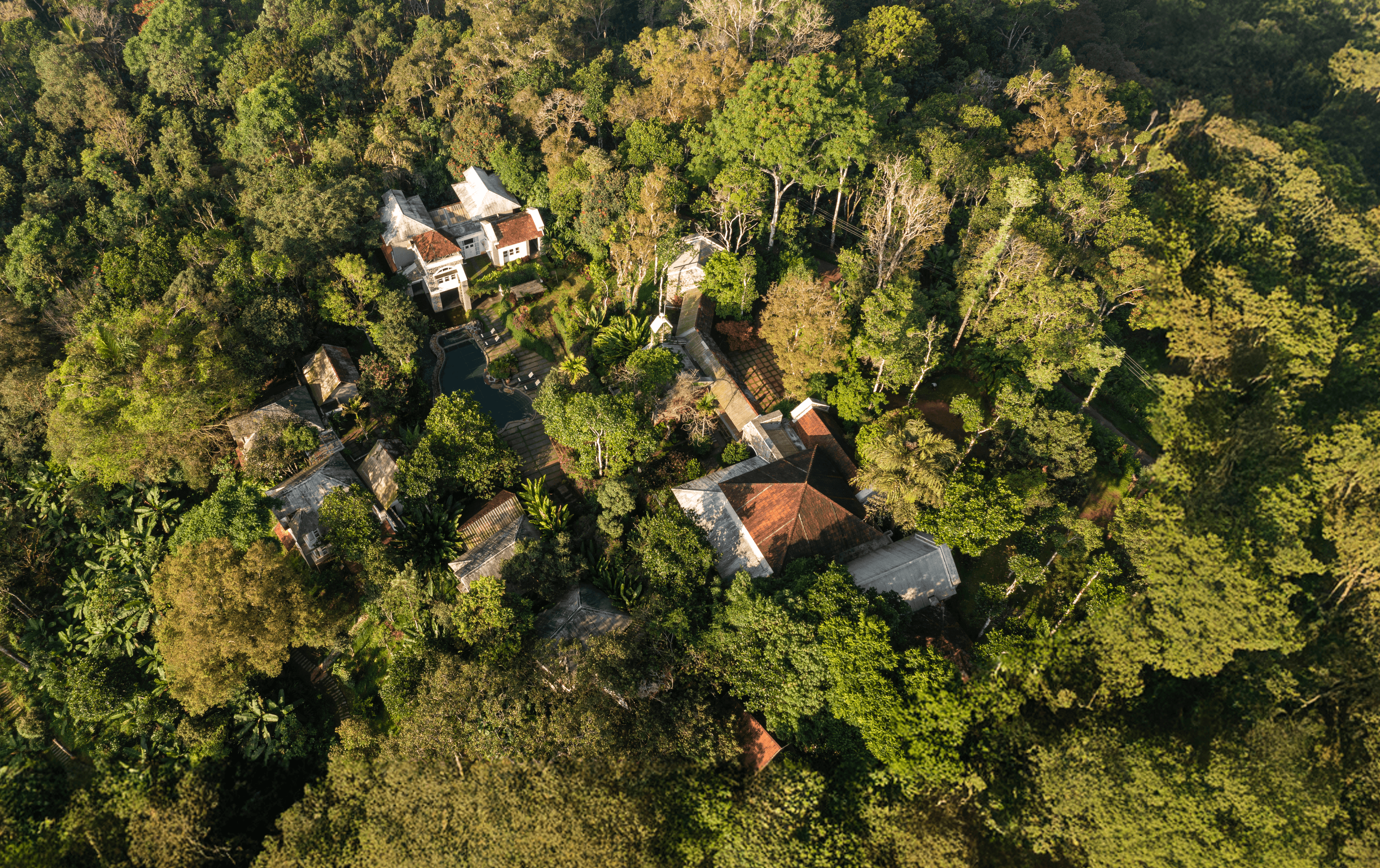 A featured image for this section